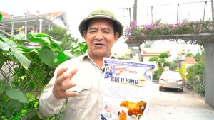 Gold King USA có lừa đảo không
