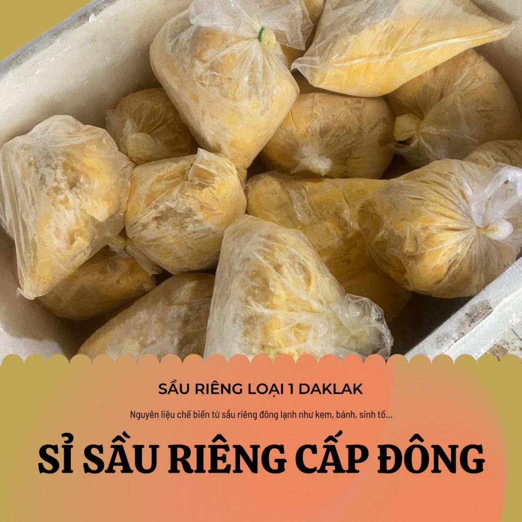Sỉ sầu riêng cấp đông