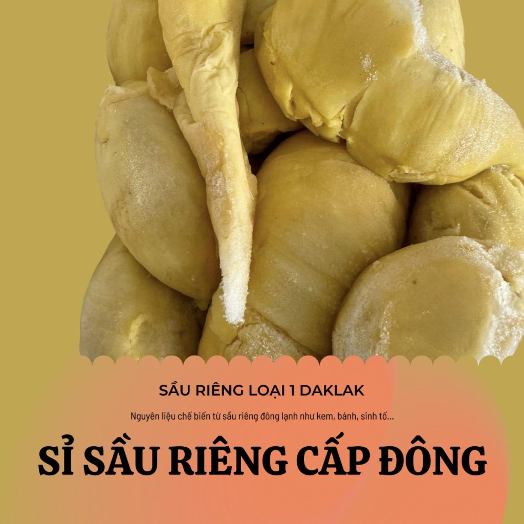 Sỉ sầu riêng cấp đông