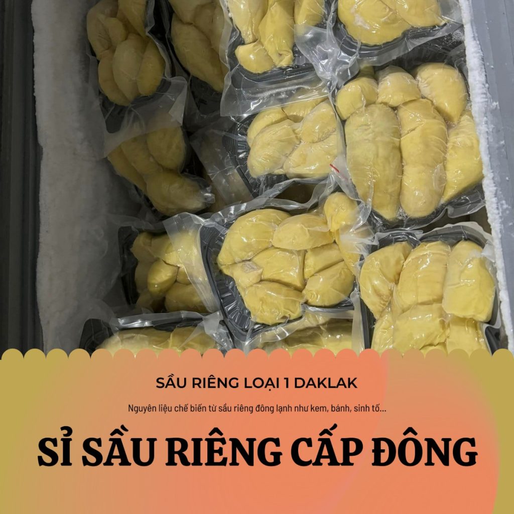 Sỉ sầu riêng cấp đông