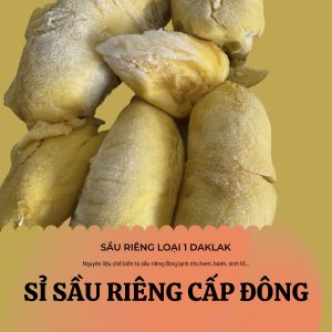 Sỉ sầu riêng cấp đông