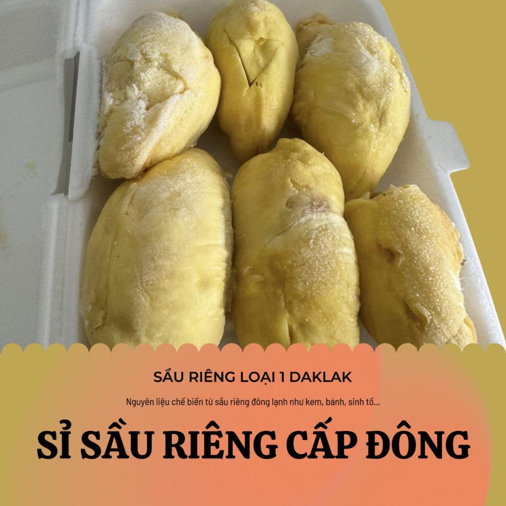 Sỉ sầu riêng cấp đông