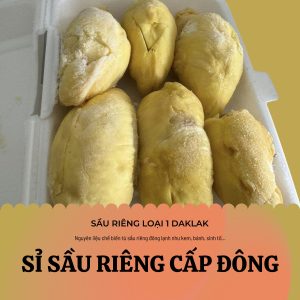 Sỉ sầu riêng cấp đông