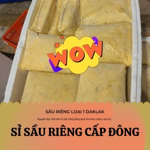 Sầu Riêng Đông Lạnh Mua Ở Đâu? Tổng Sỉ Sầu Riêng - Địa Chỉ Tin Cậy